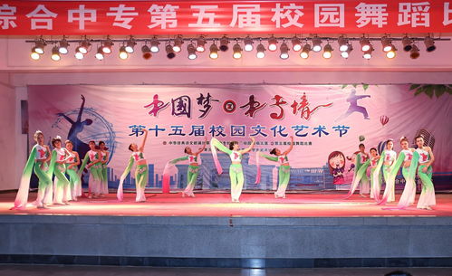 舞动精彩，炫出自我——记第十五届校园文化艺术节舞蹈比赛决赛
