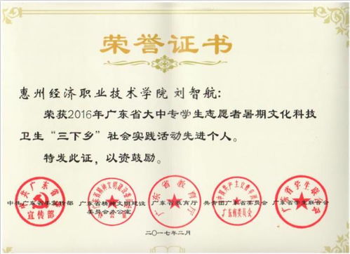 喜讯 我校艺术设计学院团总支服务队荣获2016年暑期“三下乡”社会实践活动证书